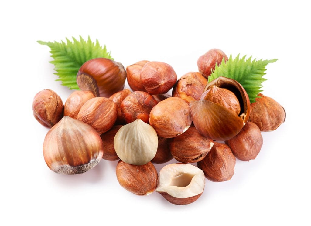 Fındığın Faydaları ve Olası Zararları Nelerdir?