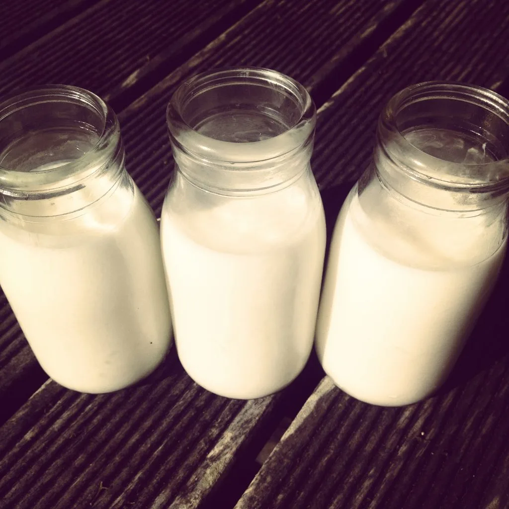 Kefirin Faydaları ve Olası Zararları Nelerdir?