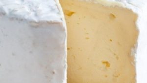 Peynir Üretimi ve Faydaları